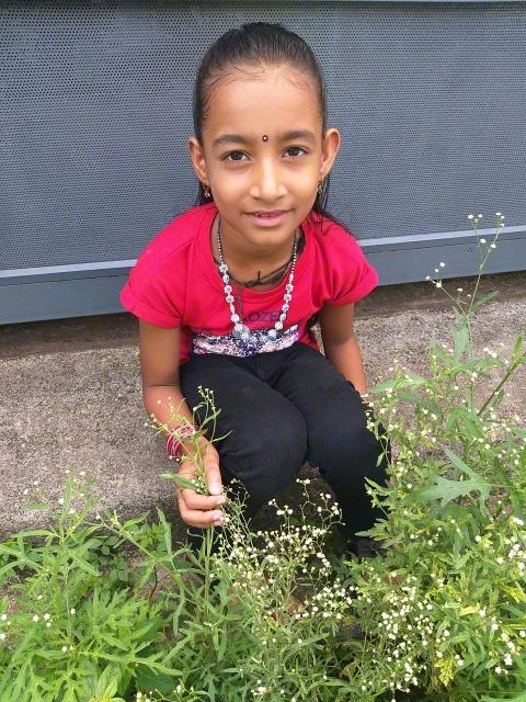 Sponsor A Child